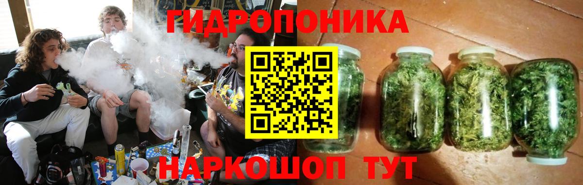 Лсд 25 Фролово